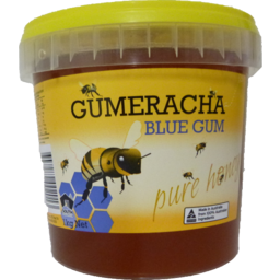 Honey Gumeracha Blue Gum