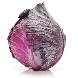 Cabbage Red (Whole)