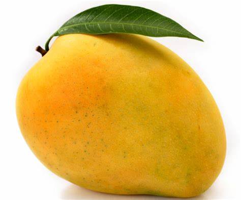 Mango (Each)