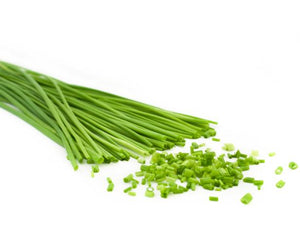 Herbs Chives