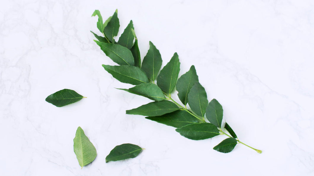 Herbs Curry Leaf