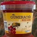 Honey Gumeracha Red Gum