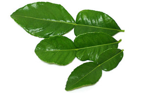 Herbs Lime Leaf