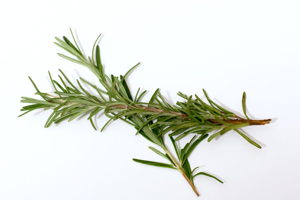 Herbs Rosemary
